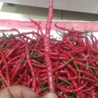 gugunkita